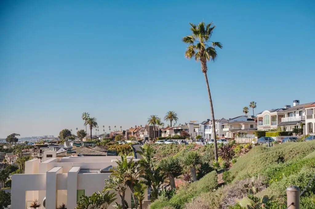 Intro Roofing in Newport Beach